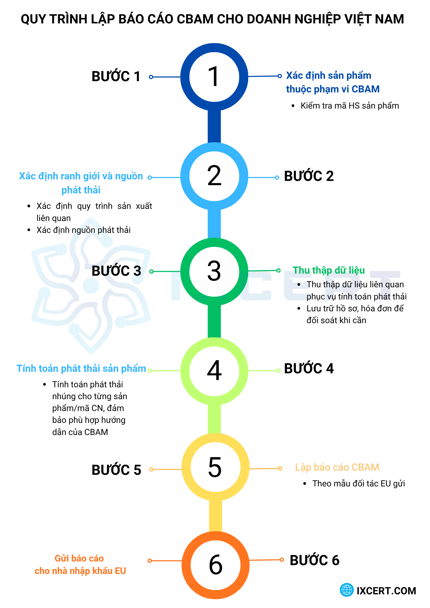 Quy trình thực hiện báo cáo CBAM
