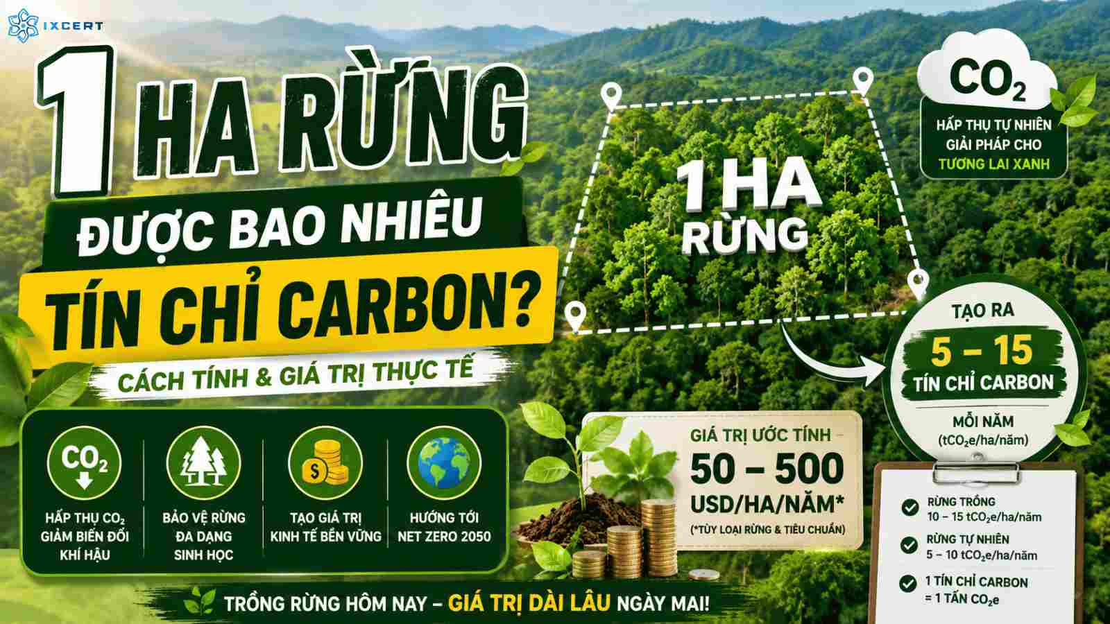 1 ha rừng được bao nhiêu tín chỉ carbon? Cách tính chi tiết