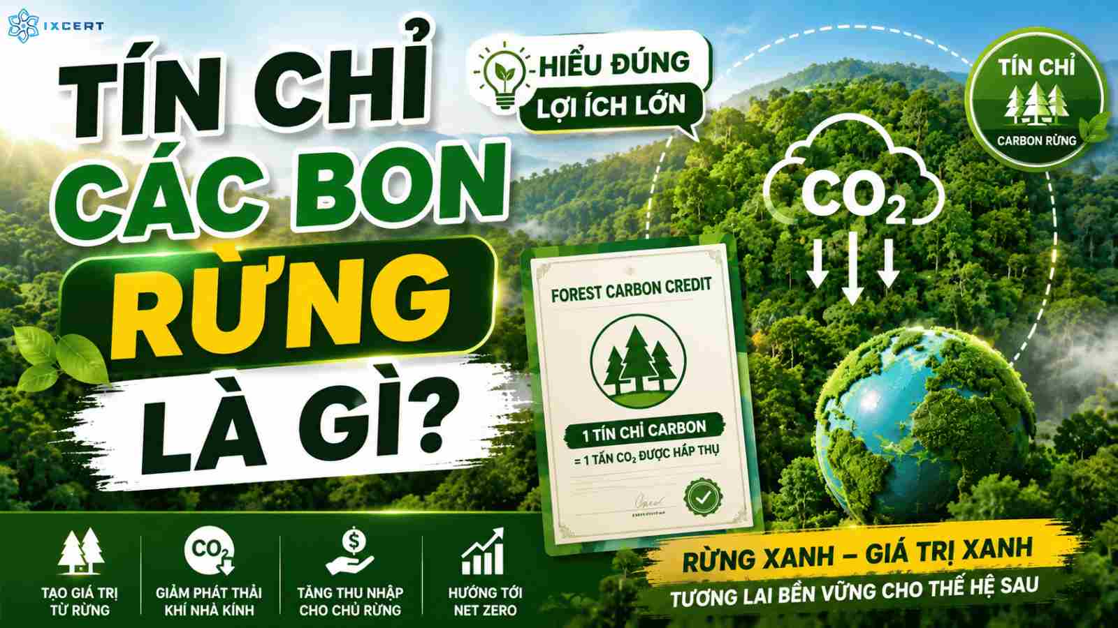 Tín chỉ carbon rừng là gì? Cách tạo và bán tín chỉ các bon từ rừng